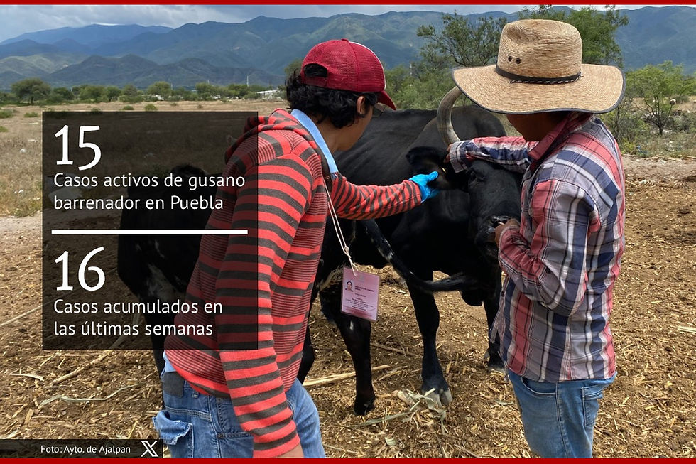 Los datos corresponden al corte del 20 de septiembre de 2025.