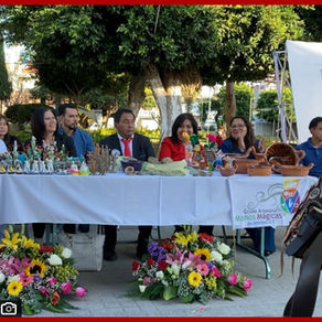 Feria Artesanal de Amozoc 2025