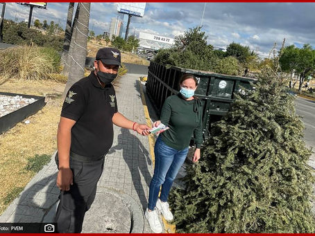 ¿No sabes qué hacer con tu árbol de navidad? Estos son los centros de reciclaje abiertos en Puebla