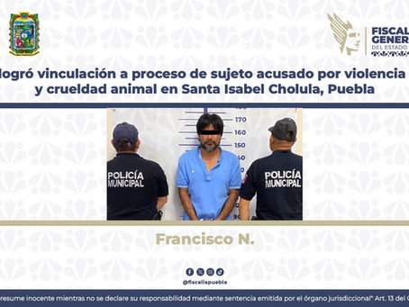 Vinculan a proceso a hombre en Puebla por violencia familiar y crueldad animal
