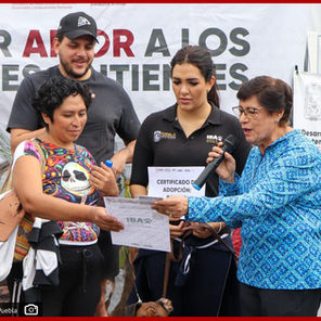 Gran participación registró Vía Recreativa Metropolitana en su edición “Seres Sintientes”