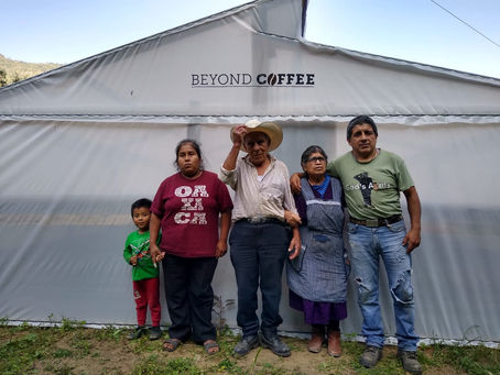 50 familias cafetaleras de Chiapas, Veracruz y Puebla mejoran condiciones junto con Heifer y AMSA
