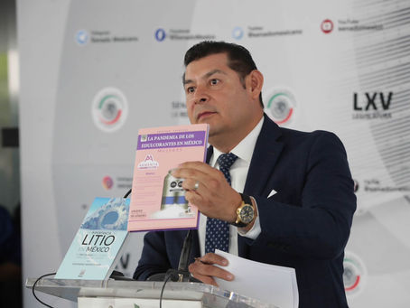 Acto patriótico y nacionalista, adquisición de plantas de energía: Armenta