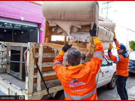 Casi mil servicios de descacharrización han brindado OOSL en 2023