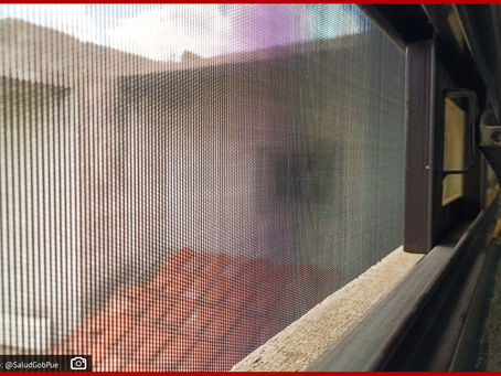Sin defunciones por dengue en Puebla en las últimas 24 horas