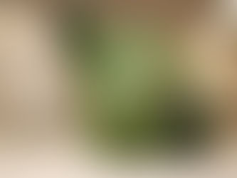 Alberga Puebla a La Victoria, la escultura más grande de México