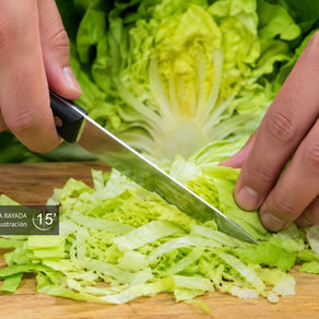Lechuga Rayada