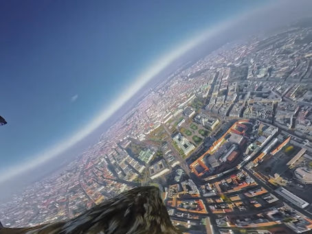 Utilizan águilas para grabar un video panorámico de Viena