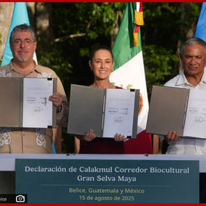 México, Guatemala y Belice crean el Corredor Biocultural de la Gran Selva Maya