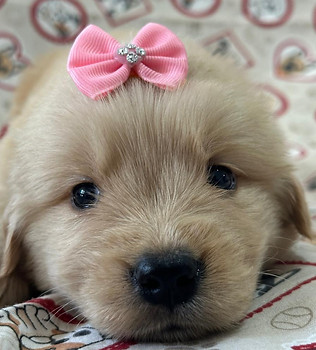 WhatsApp Image 2025-11-22 at 12.07.45.jpeg