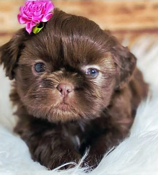 WhatsApp Image 2025-11-25 at 17.04_edite