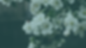 Landing Page-10.png