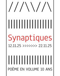 12-22/11 - Performance, Synaptiques, Maison (l(i(v(r(e)))))), Bordeaux