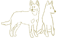 Alex & Jock (10)_edited.png