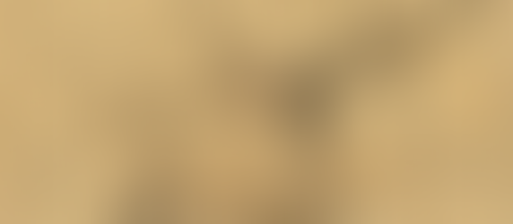 The First (and Second) Continental Congresses