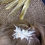 Miniature : Barrette ronde or ou argent 