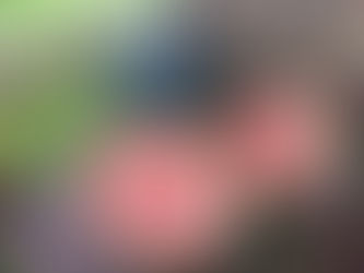 Regionale Wassermelonen