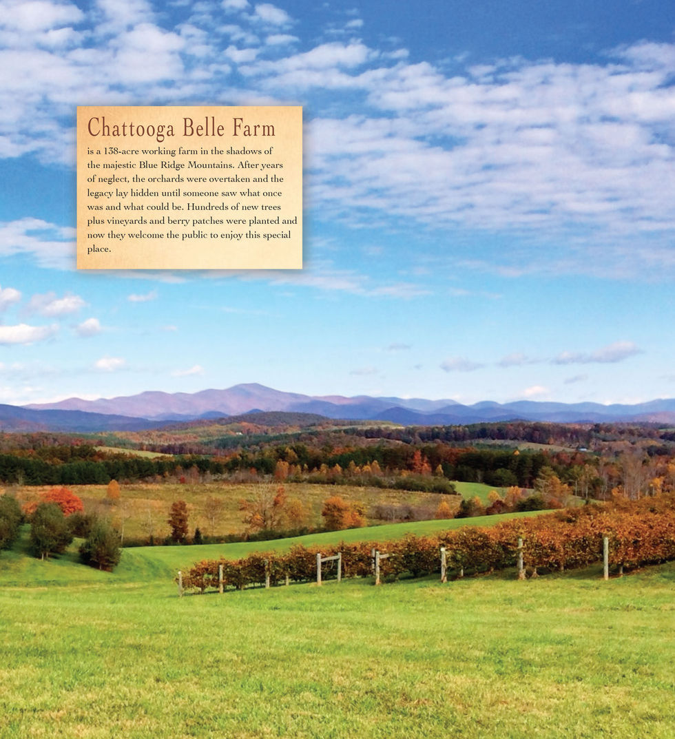 CBF Brochure Centerfold