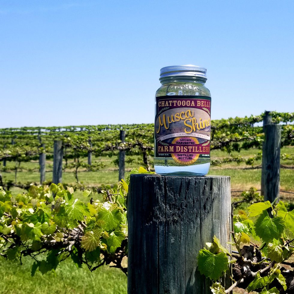 Muscashine IG post for Chattoogabelle Farms.