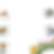 section background.png