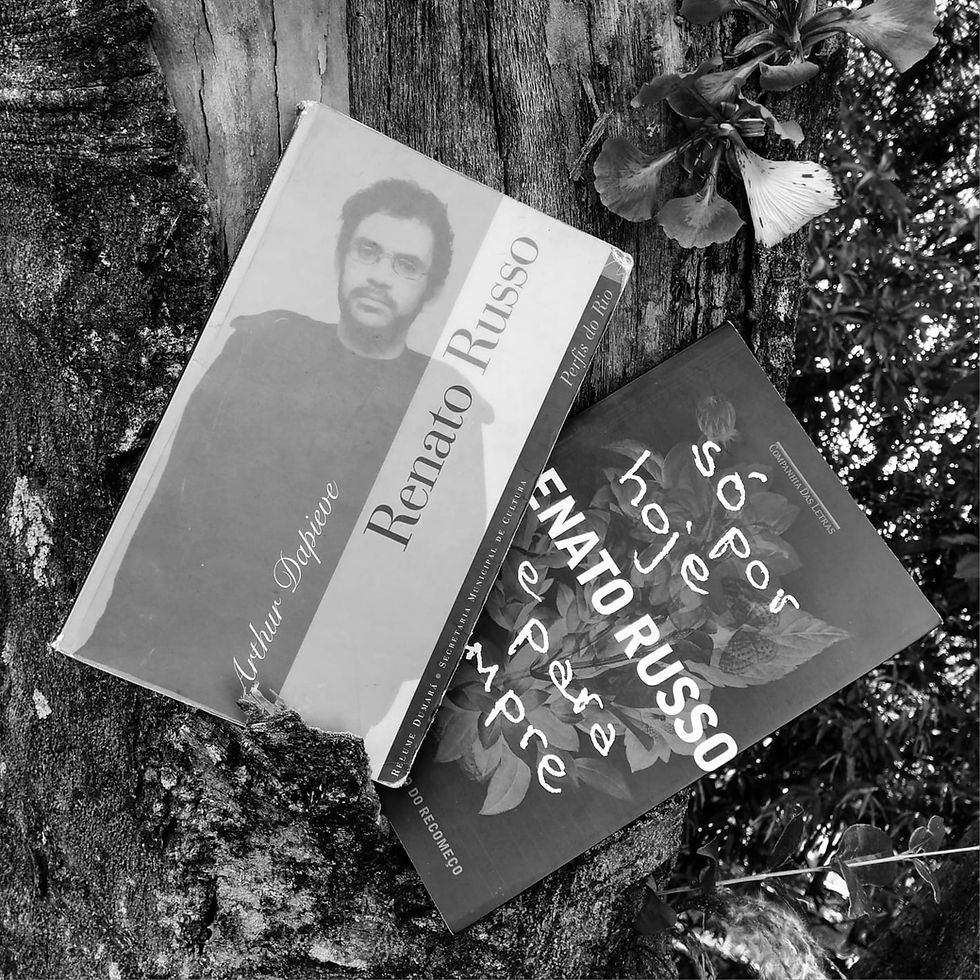 O Trovador Solitário