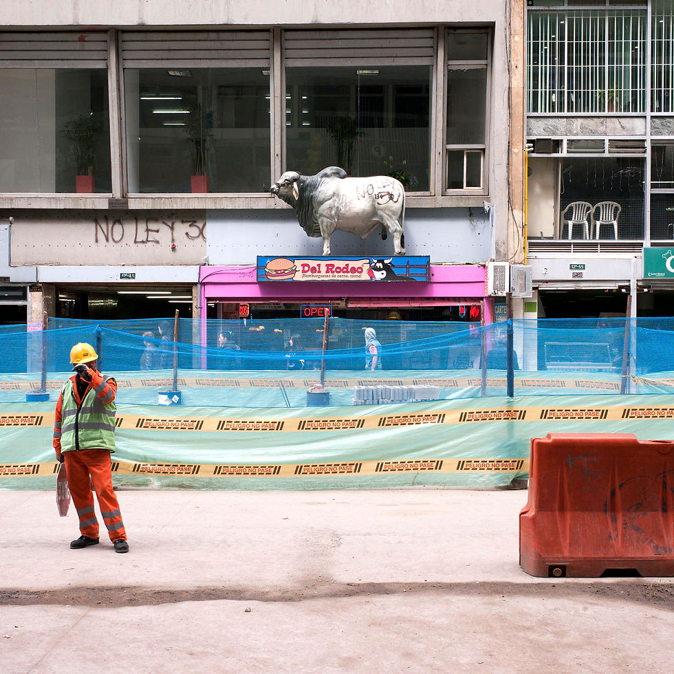 Bogotá, 2015