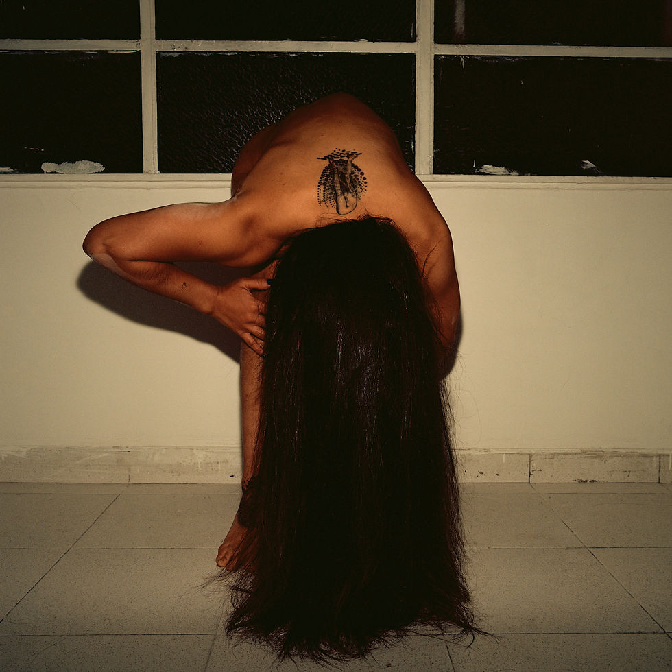 Venezolana, 2018