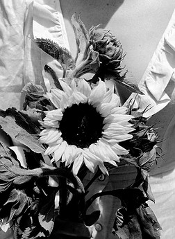 Image shows a bouquet of flowers. The flower in the centre is a big sunflower.