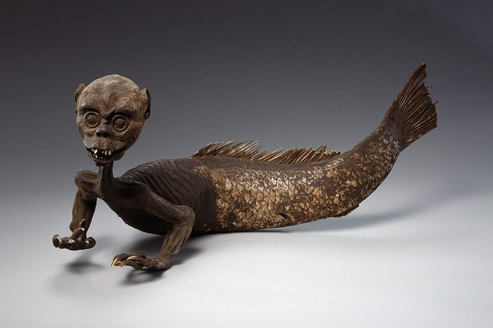 Mummified mermaid-like creature with a skull face and fish tail on a gray studio background, eerie and macabre