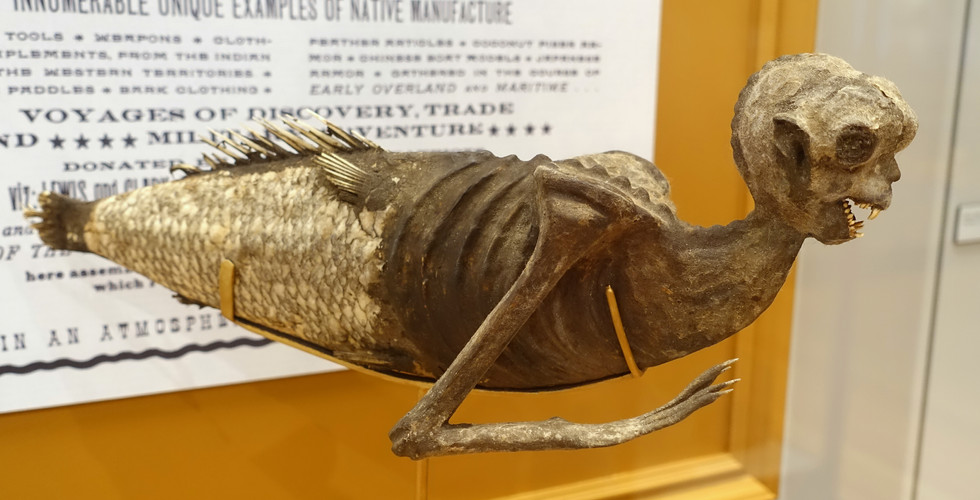 Feejee Mermaid_ Wikipedia, the free encyclopedia