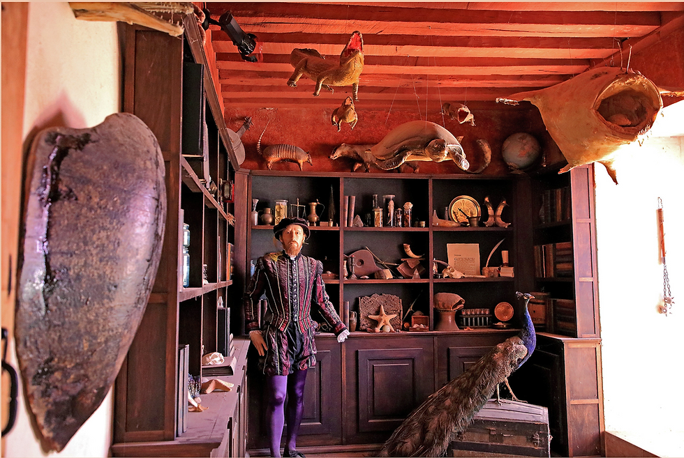 The cabinet of curiosities of Claude Gouffier. Installation by Guillaume Bijl, public commission for Château d'Oiron, CNAP collection, FNAC inventory. © Guillaume Bijl / ADAGP
cabinetofcuriosities
chateau
france
curios
mirabilia
unusualcollection
artdecorativearts
contemporaryart
renaissance
museumvisit