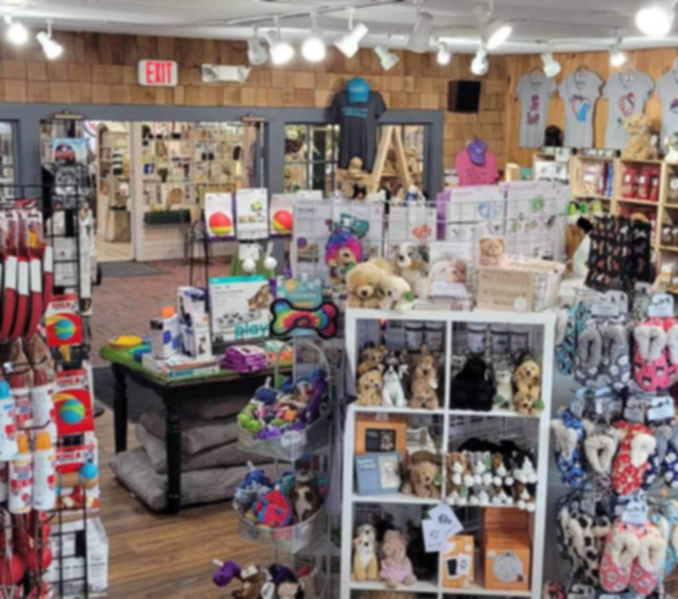 603 Paws Meredith Location of Products