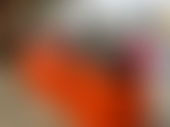 Belladina Coffee Proudly Participates in the 26th Annual Wolfeboro Festival of Trees