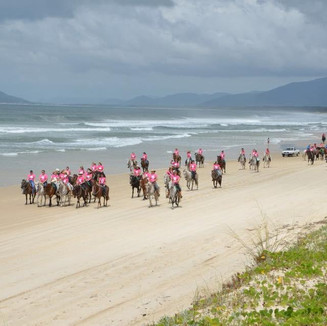 Brutas de Floripa - 2018