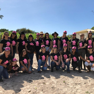 Brutas de Floripa - 2019