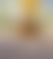 Ceviche de jiló da chef Joanne Ribas - Serra da Canastra