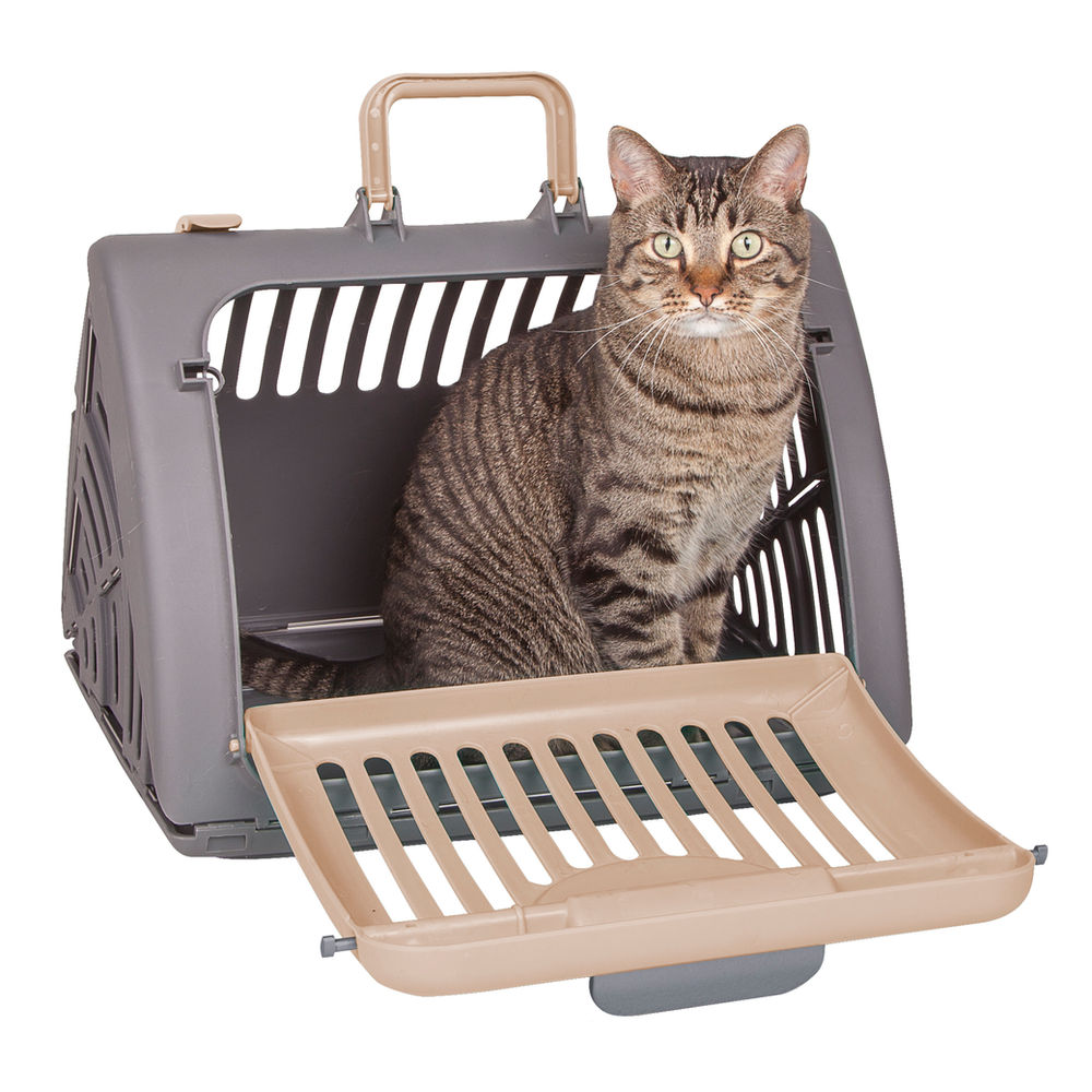 Which cat carrier is best for my cat?