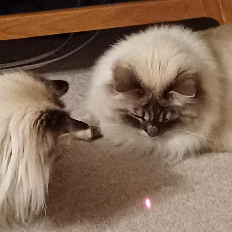 ctas looking at laser