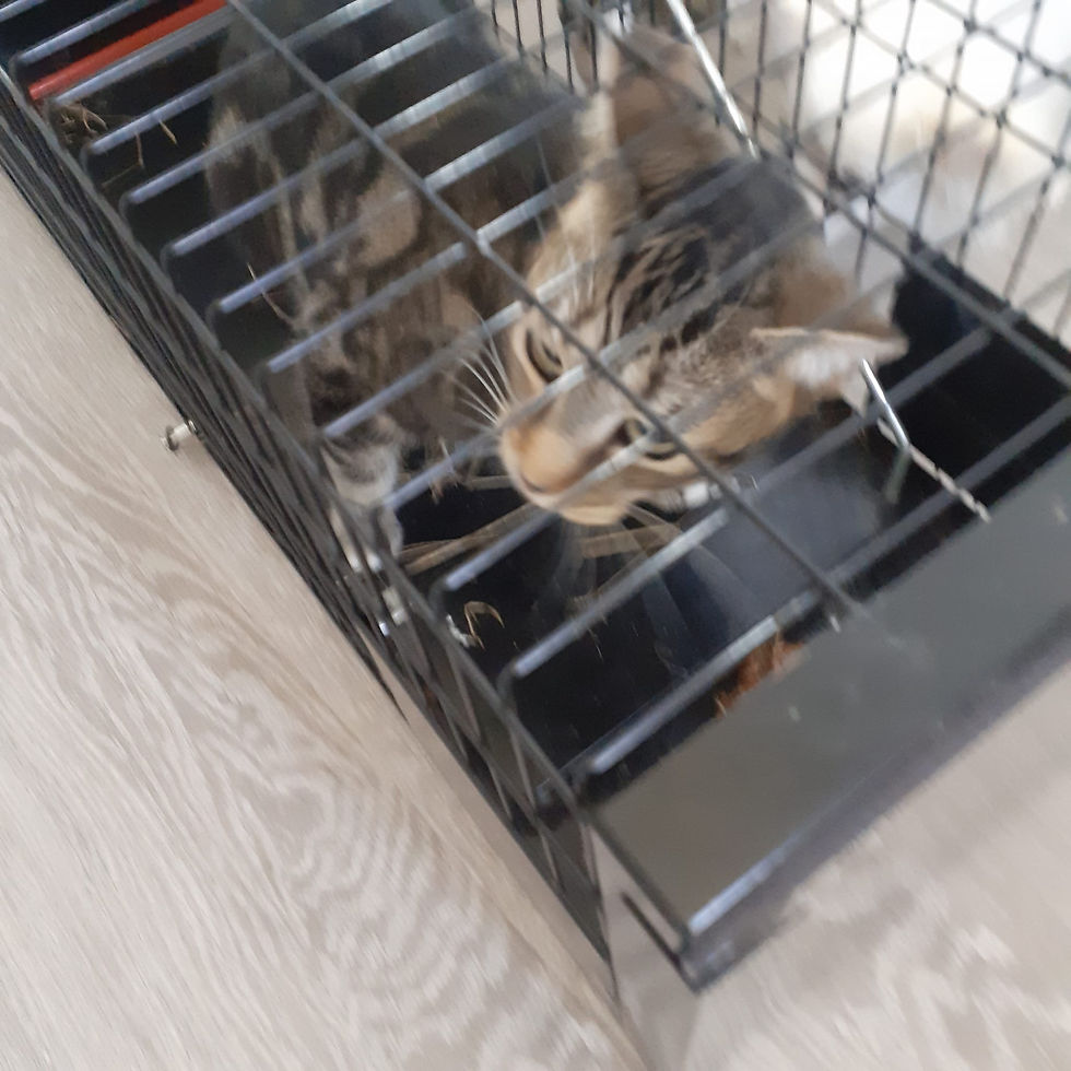 Trapped after being trapped in a tunnel