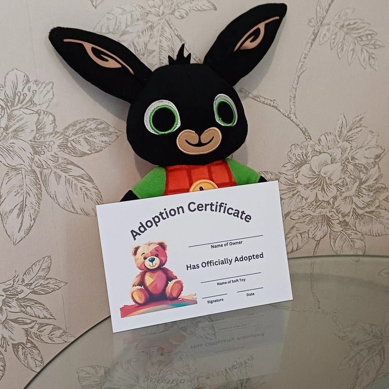Adopt a plush - Bing bunny soft toy