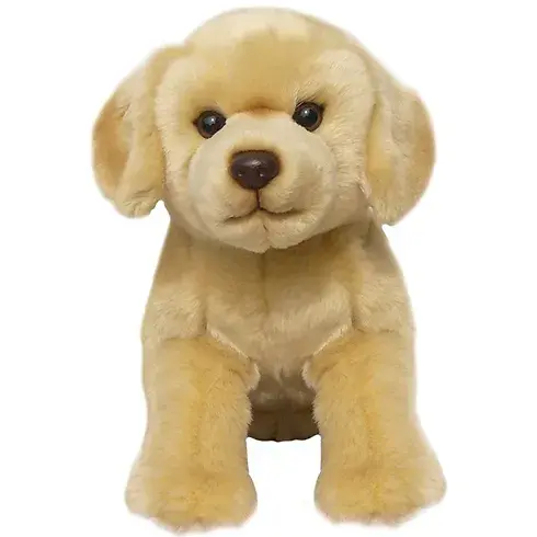 Yellow Labrador Plush Soft Toy