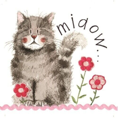 Cat card 'Miaow',  blank card , cat themed card by Alex Clark
