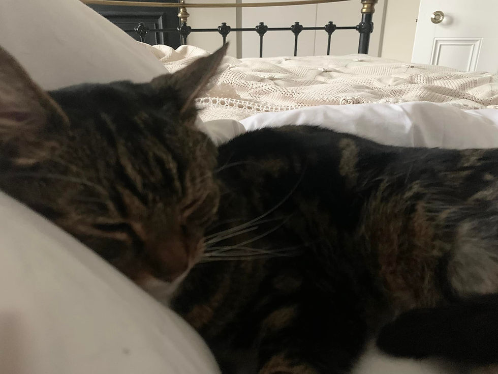 Bibi found