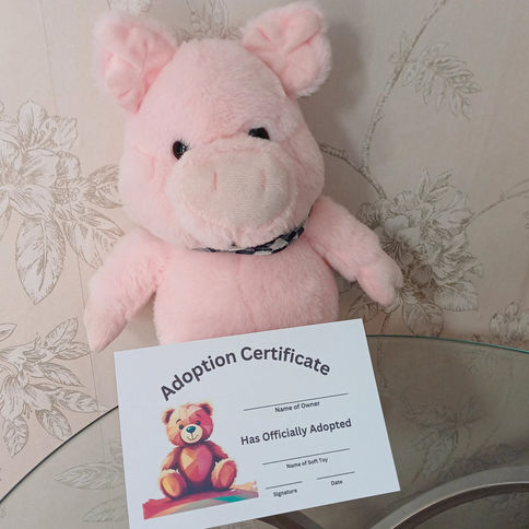 Adopt a plush - soft pink pig