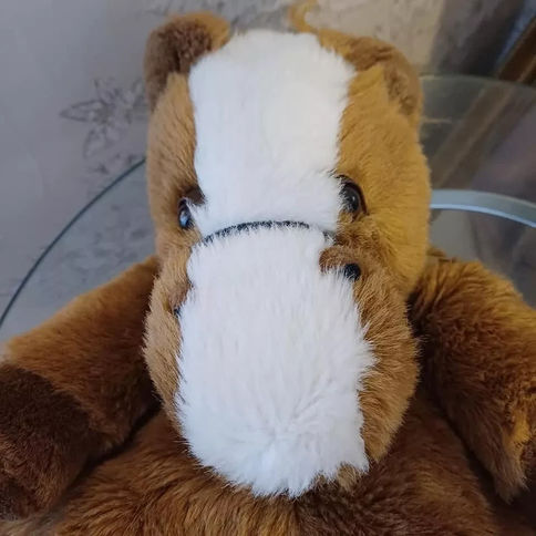 Adopt a plush - Horse backpack