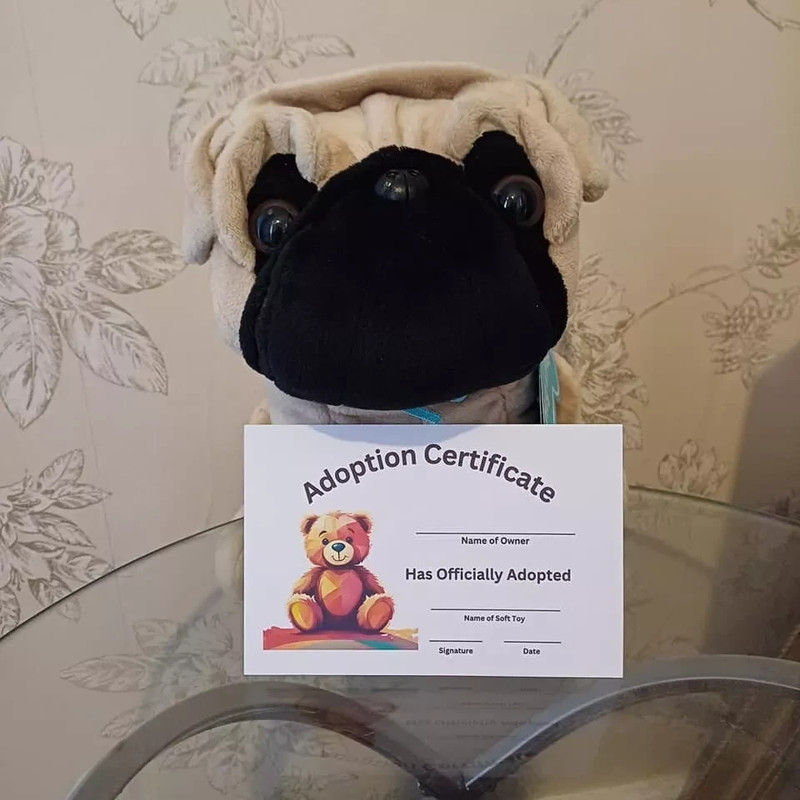 Adopt a plush - Soft toy pug