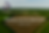 UPH Shaping Land .png