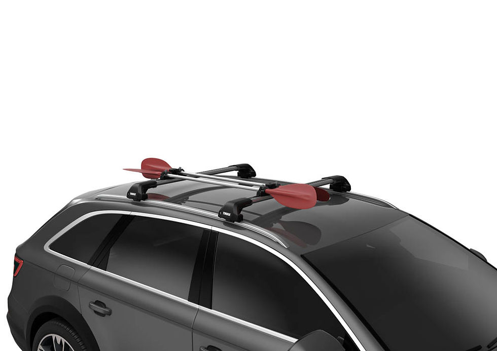 Miniaturbild: Thule Mehrzweckhalter für Wassersport schwarz