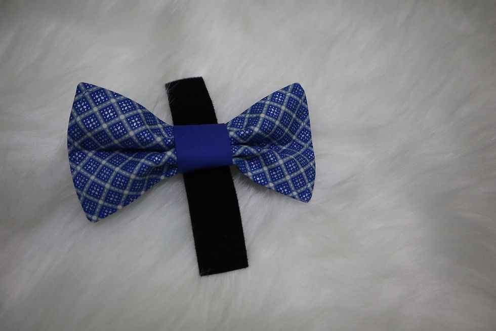 Thumbnail: Collar Bow Ties For Pets