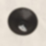 Suction Cup